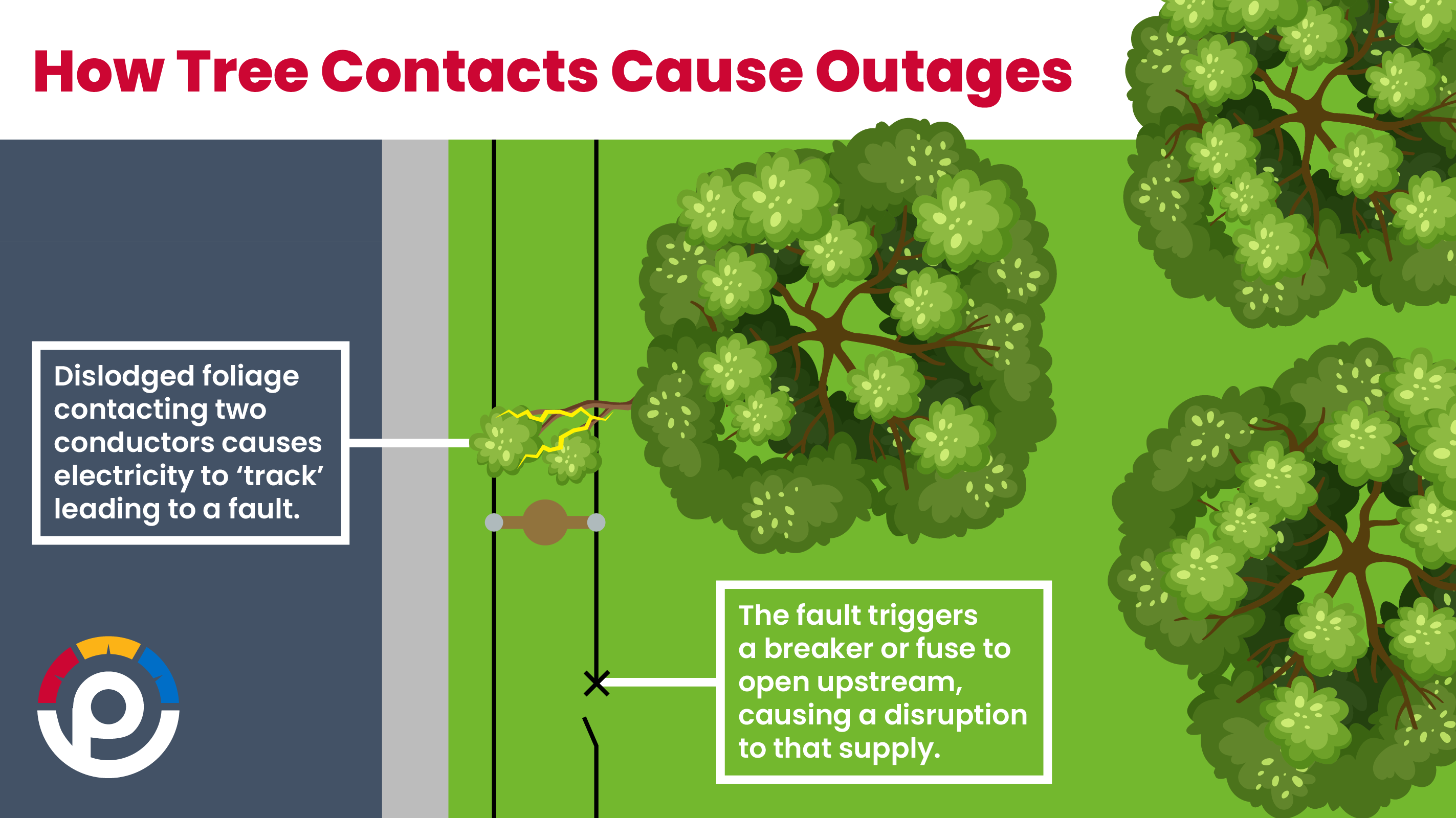 How Tree Contacts Cause Outages Explainer